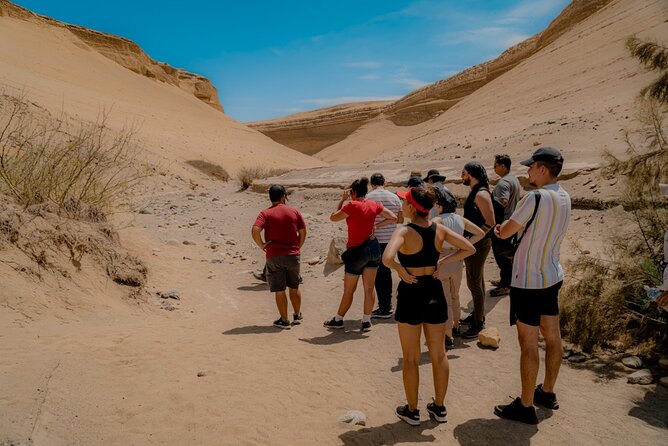 Cañón De Los Perdidos Day Trip From Ica or Huacachina - Customer Reviews