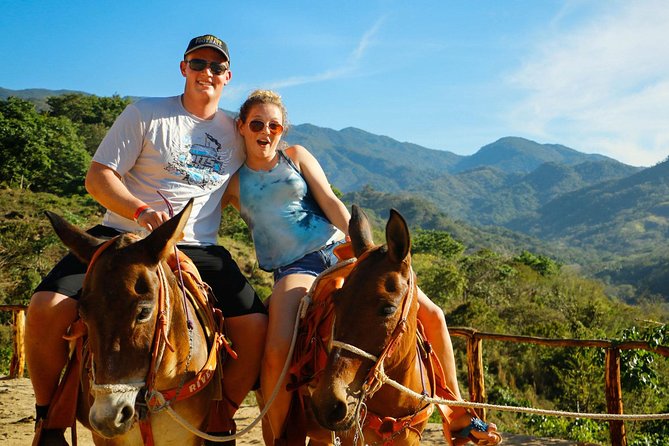 Canopy River Zipline Tour and Mule Ride - Overview