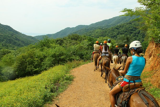 Canopy River Zipline Tour and Mule Ride - What To Expect