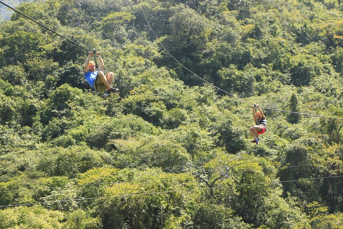 Canopy River Zipline Tour and Mule Ride - Additional Info