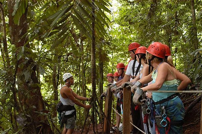 Canopy Tour From Manuel Antonio - Canopy Tour Highlights