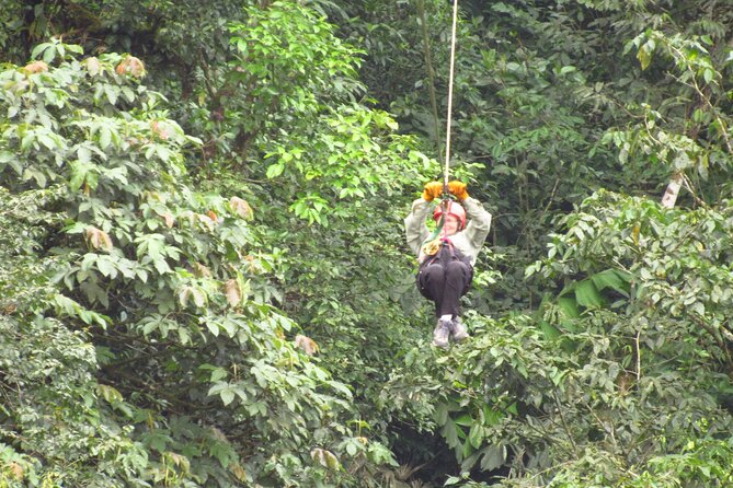 Canopy Tour in the Fabulous Hanging Bridges From San José - Tour Overview