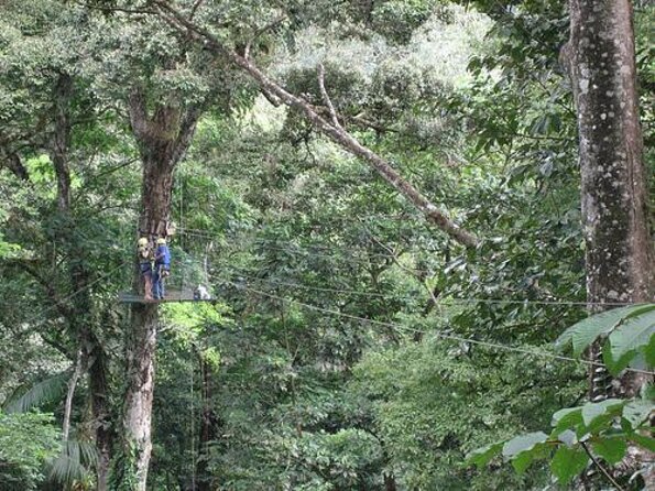 Canopy Tour Pozo Azul - Good To Know