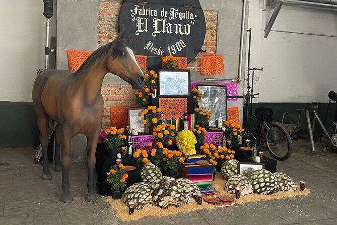 Cantaritos and Tequila Factory Tour - Overall Value and Suitability