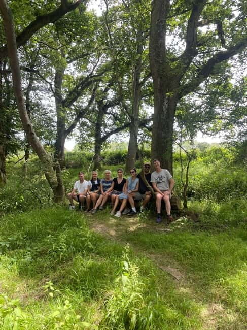 Canterbury: City Nature Tour with Forest Bathing - Price and Value