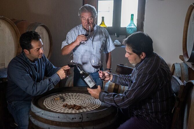 Cantine d'Irpinia: visit and tasting Taurasi from ancient vineyards - A Closer Look at the Experience