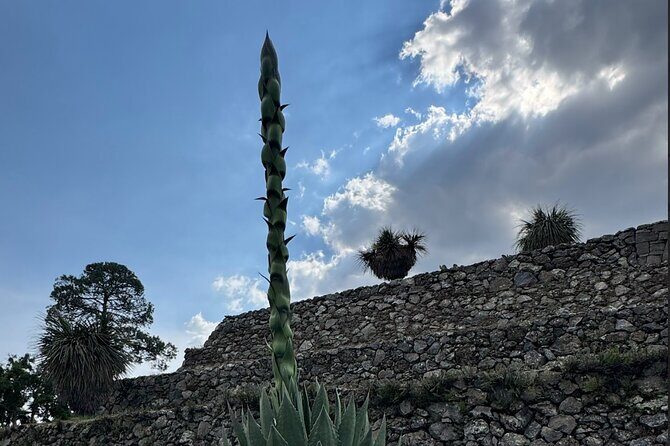 Cantona Archaeological Area Tour from Mexico City - Practical Details and What to Expect