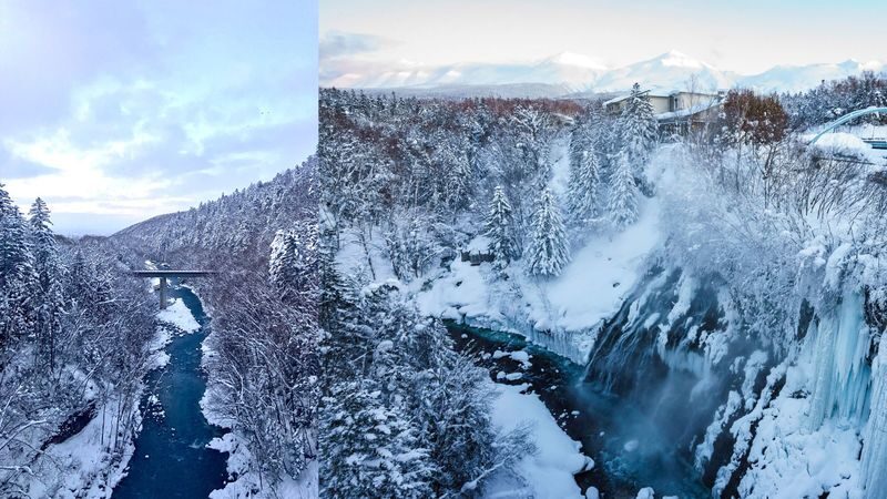 Cantonese and Mandarin/English | Biei Shirogane Blue Pond Illumination + Christmas Tree + White Birch Forest + Ningle Terrace + Shirahige Waterfall | Furano Lunch + Milk Postcard - A day of winter scenery, not one single attraction