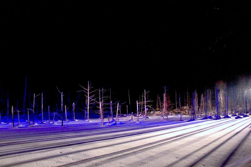 Cantonese and Mandarin/English | Biei Shirogane Blue Pond Illumination + Christmas Tree + White Birch Forest + Ningle Terrace + Shirahige Waterfall | Furano Lunch + Milk Postcard - Blue Pond’s winter illumination
