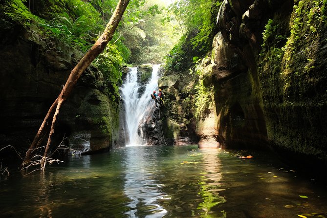 Canyon of Fire - Tour Highlights