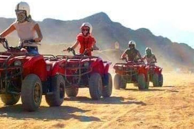 Canyon & Quad Bike Safari & Snorkeling From Sharm El Sheikh - Important Information