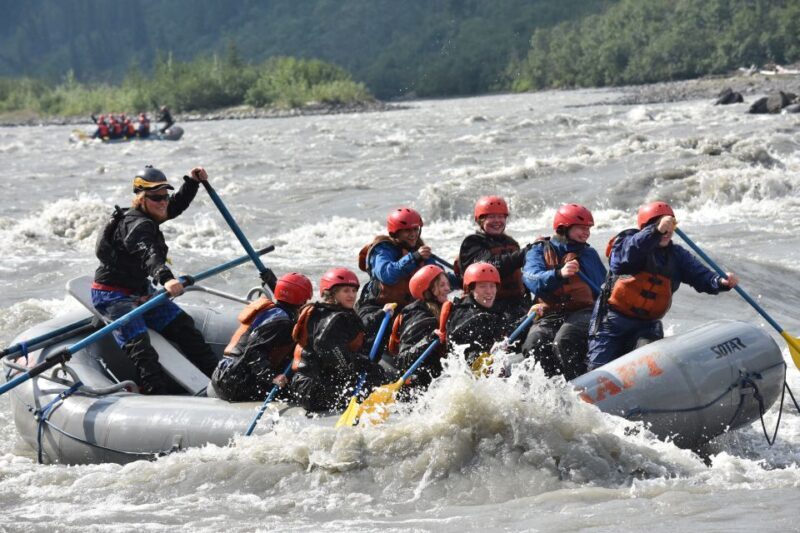 Canyon Run: Denali National Park Class IV Whitewater Rafting - The Itinerary and What to Expect
