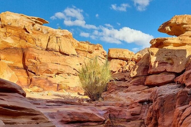 Canyon Salama, Jeep, Pools, Snorkeling & Lunch : Sharm El-Sheikh - Cancellation Policy