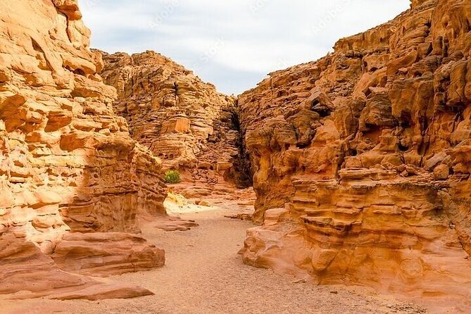 Canyon Salama, Jeep, Pools, Snorkeling & Lunch : Sharm El-Sheikh - Frequently Asked Questions