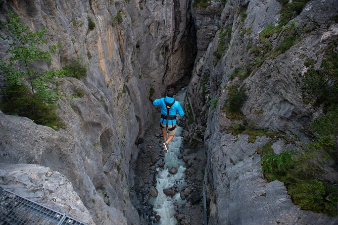 Canyon Swing With OUTDOOR - Common Questions