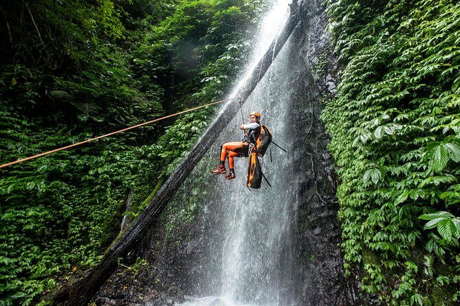 Canyoning Bali, Tamata Canyon (Adventure, discovery, nature) - Pricing and Value