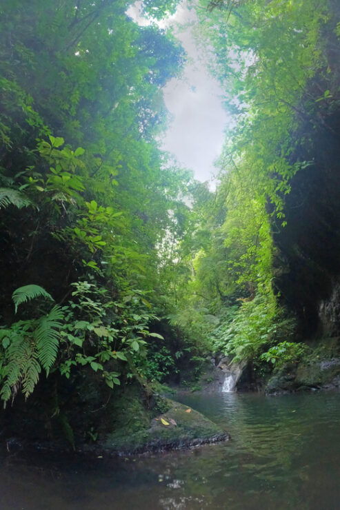 Canyoning Bali : The Excalibur : Aquatic Canyon - Detailed Itinerary