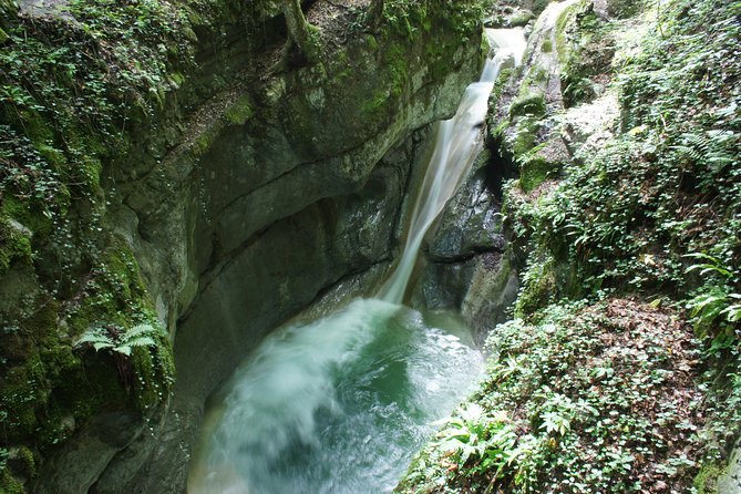 Canyoning Discovery 3h in Aix Les Bains / Chambéry: Ternèze - Background Information