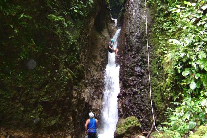 Canyoning Discovery in Dominica - Price and Guarantee