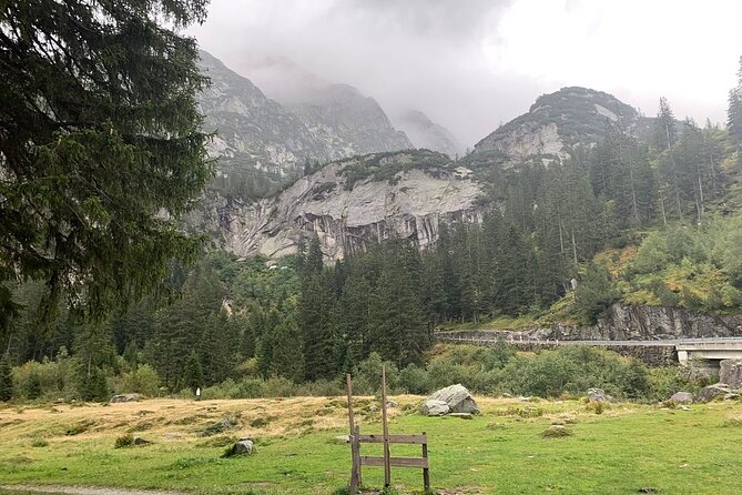 Canyoning Experience Grimsel From Interlaken - Guide Performance and Experience