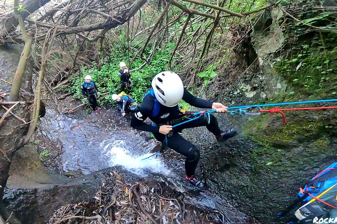 Canyoning Gran Canaria: Descending Waterfalls in Rainforest - Exploring the Rainforest: Descending Waterfalls