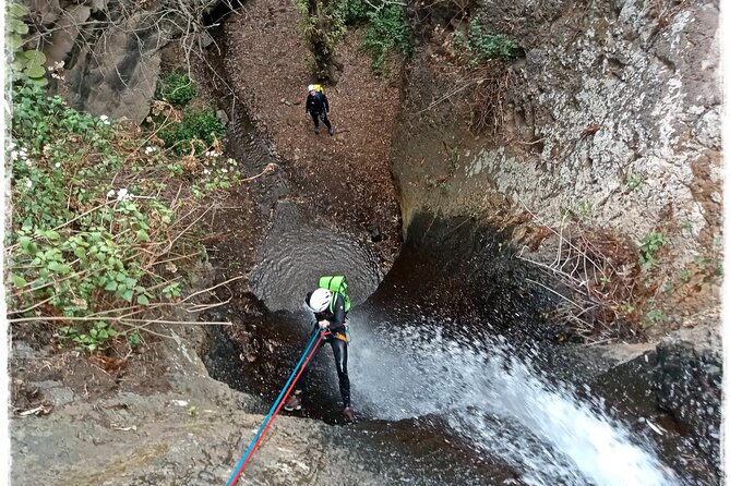Canyoning Gran Canaria: Descending Waterfalls in Rainforest - Pricing and Booking Information