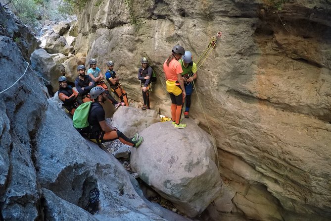 Canyoning Green Throat - Questions
