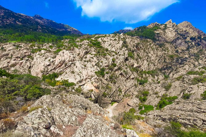 Canyoning in Rio Pitrisconi and Monte Nieddu in San Teodoro - What to Expect During the Canyoning Experience