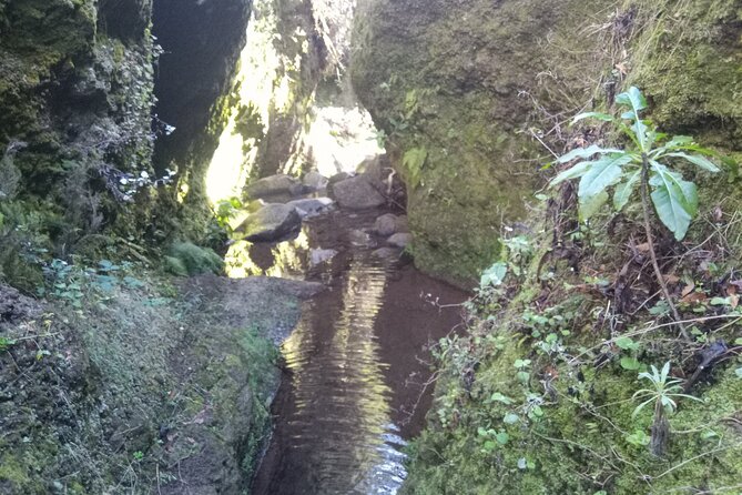 Canyoning Madeira - What Is Canyoning?