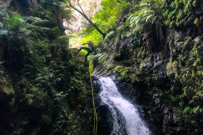 Canyoning Madeira Island - Level Two - The Sum Up