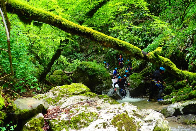 Canyoning Sensation of Angon on the Shores of Lake Annecy - Cancellation Policy