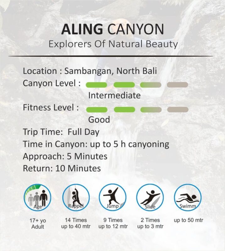 Canyoning Water Adventure Experience in North Bali - Learning the ropes before entering the canyon