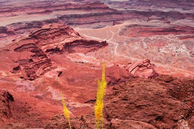Canyonlands National Park Backcountry 4x4 Adventure From Moab - Experience Off-Roading in a Sturdy Jeep