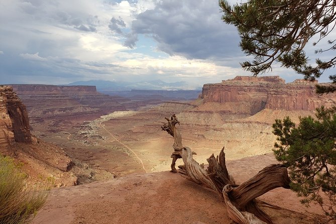 Canyonlands National Park Backcountry 4x4 Adventure From Moab - Common Questions