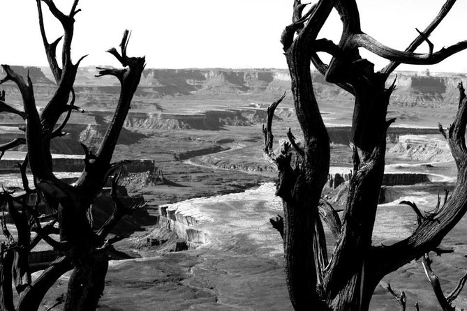 Canyonlands National Park Half-Day Tour From Moab - Additional Information and Pricing