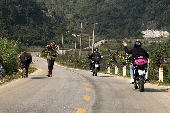 Cao Bang: Ban Gioc Waterfall Full-Day With Local Guide - Good To Know