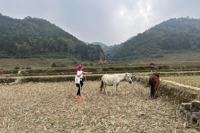 Cao Bang Easy Trekking Tours 2Days/1Night Ban Gioc Waterfall ET1 - Traveler Reviews