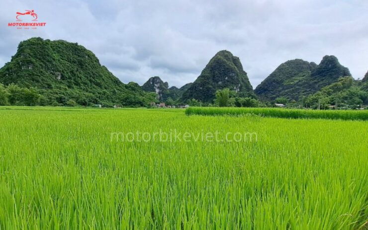 Cao Bang Loop 2 Days 1 Night - Activity Details