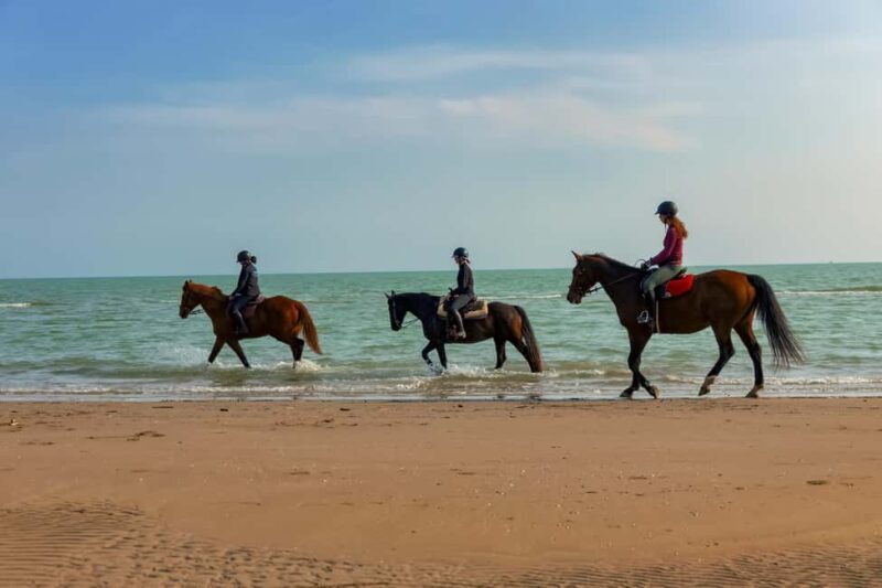 Caorle: Brewery Guided Tour&Tasting in Brussa Natural Oasis - An Introduction to the B2O Brewery Tour