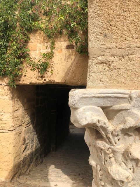 Cap Bon Tour: Kerkouane and Kelibia - Cultural Experience and Local Cuisine