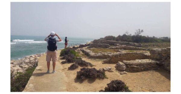 Cap Bon Unveiled: Guided Exploration in Tunisia - The Sum Up