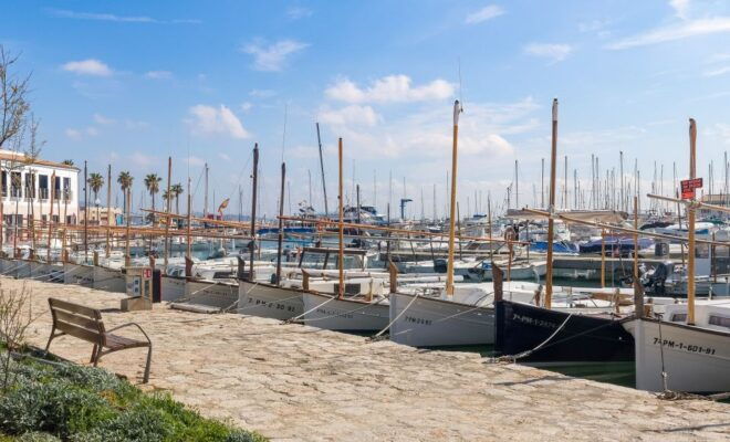 Cap De Formentor: Market, Beach, and Alcudia Tour - Customer Reviews