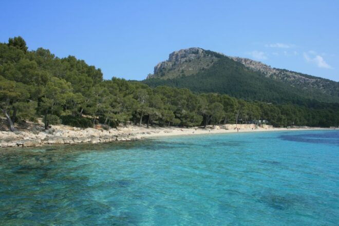 Cap De Formentor: Market, Beach, and Alcudia Tour - Review Summary