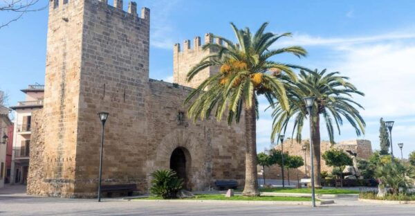 Cap De Formentor: Market, Beach, and Alcudia Tour - Recent Reviews