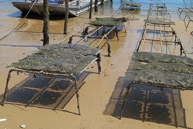 Cap-Ferret, Herbe Village With Tasting Oysters Waterfront ! - Traveler Information