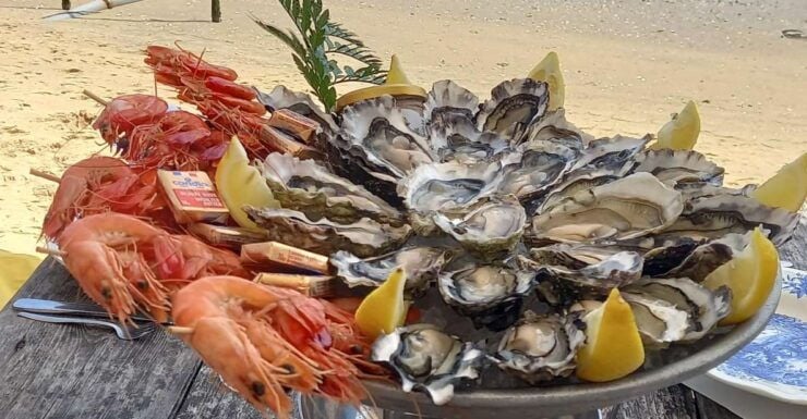 Cap-Ferret With Oysters Tasting - Activities and Duration