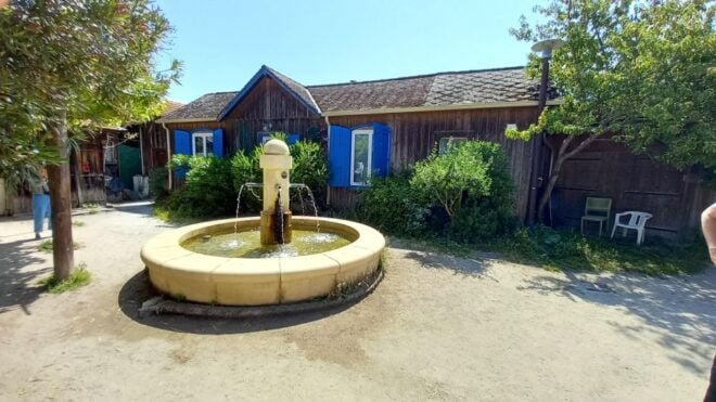 Cap-Ferret With Oysters Tasting - Related Activities and Options