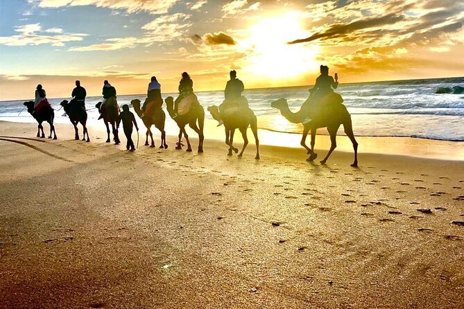 Cap Startel and Camel Ride in Achakkar Beach at Sunset With BBQ - Beach Location and Scenic Views