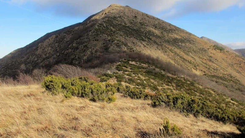 Capanne di Marcarolo Park: hiking on Mount Tobbio - The Experience: Beyond the Trail