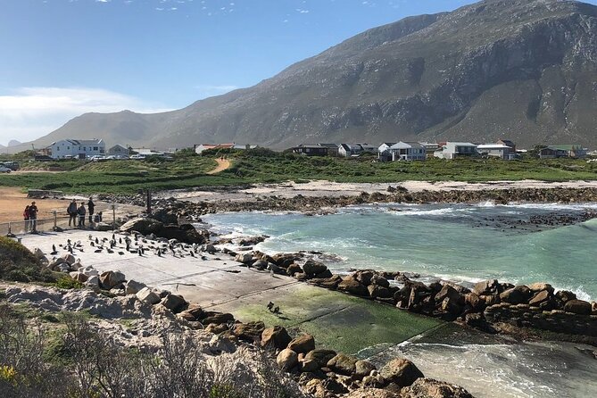 Cape Agulhas Full Day Private Tour - Itinerary